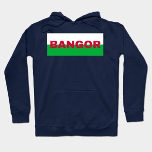 Bangor City in Wales Flag Hoodie